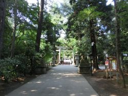 久伊豆神社